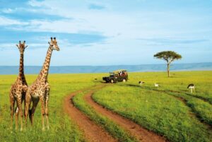 kenya tour packages