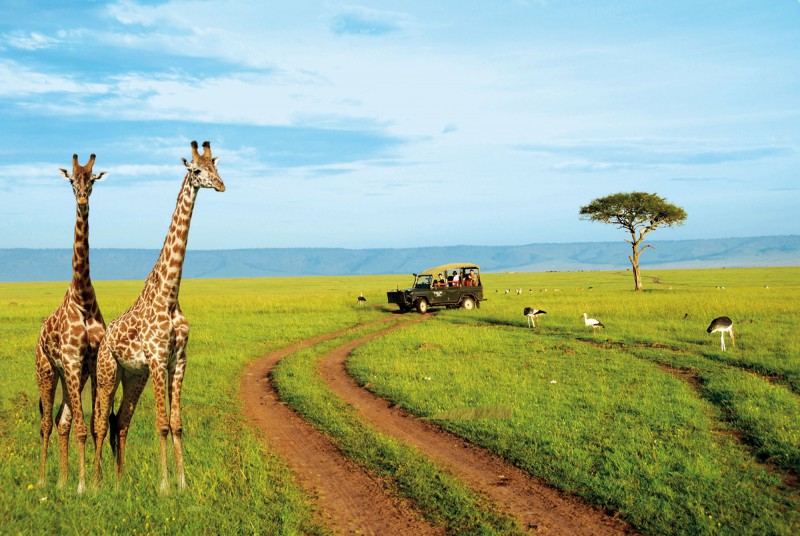 kenya tour packages