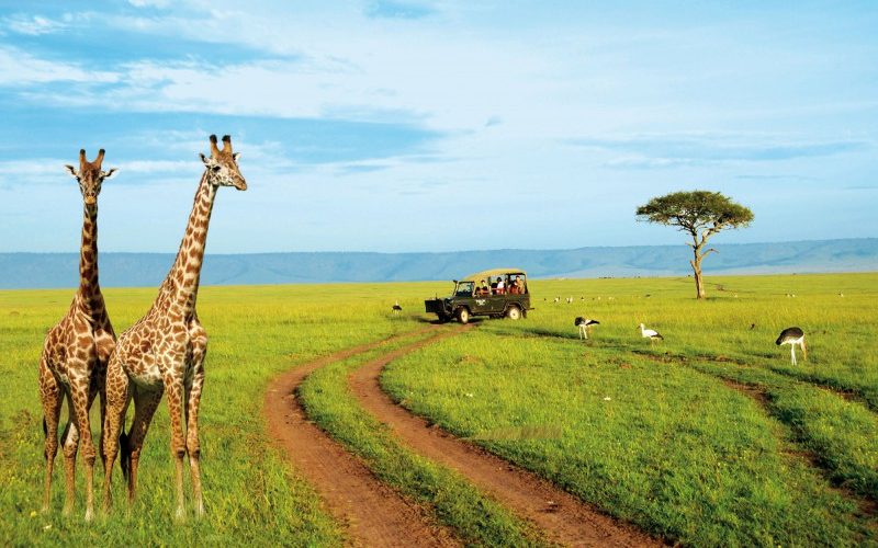 kenya tour packages